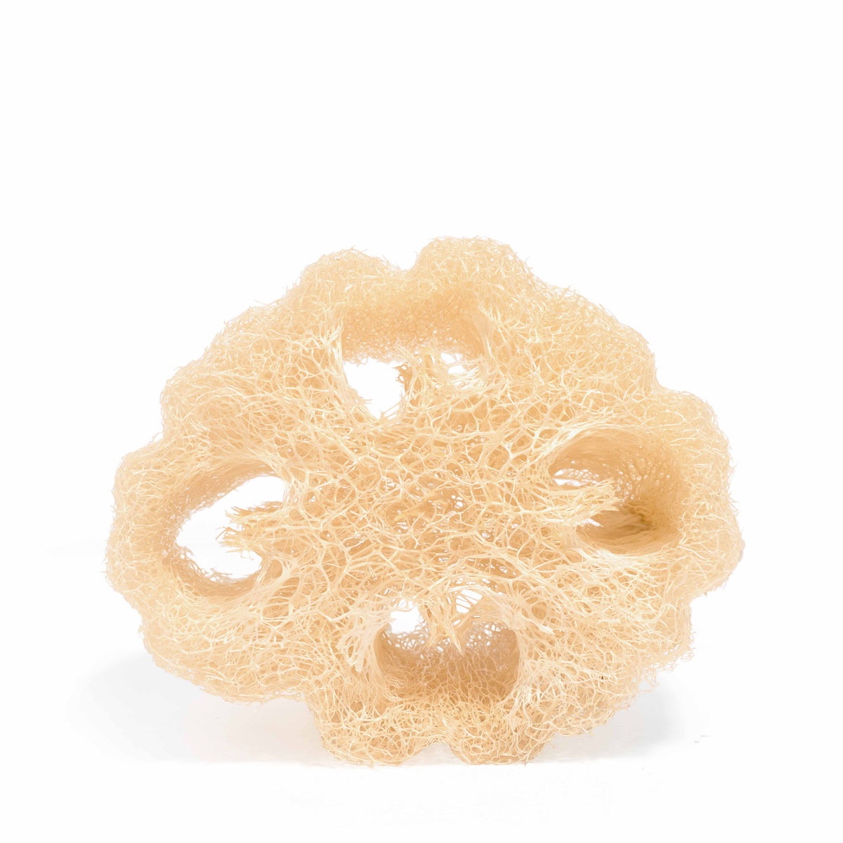 Loofah veggie sponge