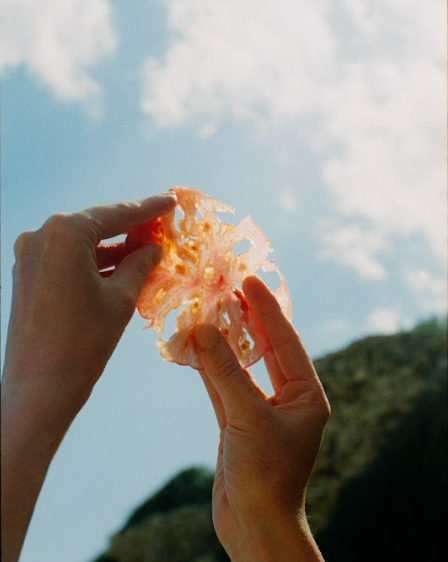 Zo herken je greenwashing in natuurlijke huidverzorging