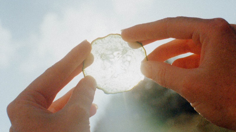 100% natuurlijke gezichtsverzorging op basis van groenten