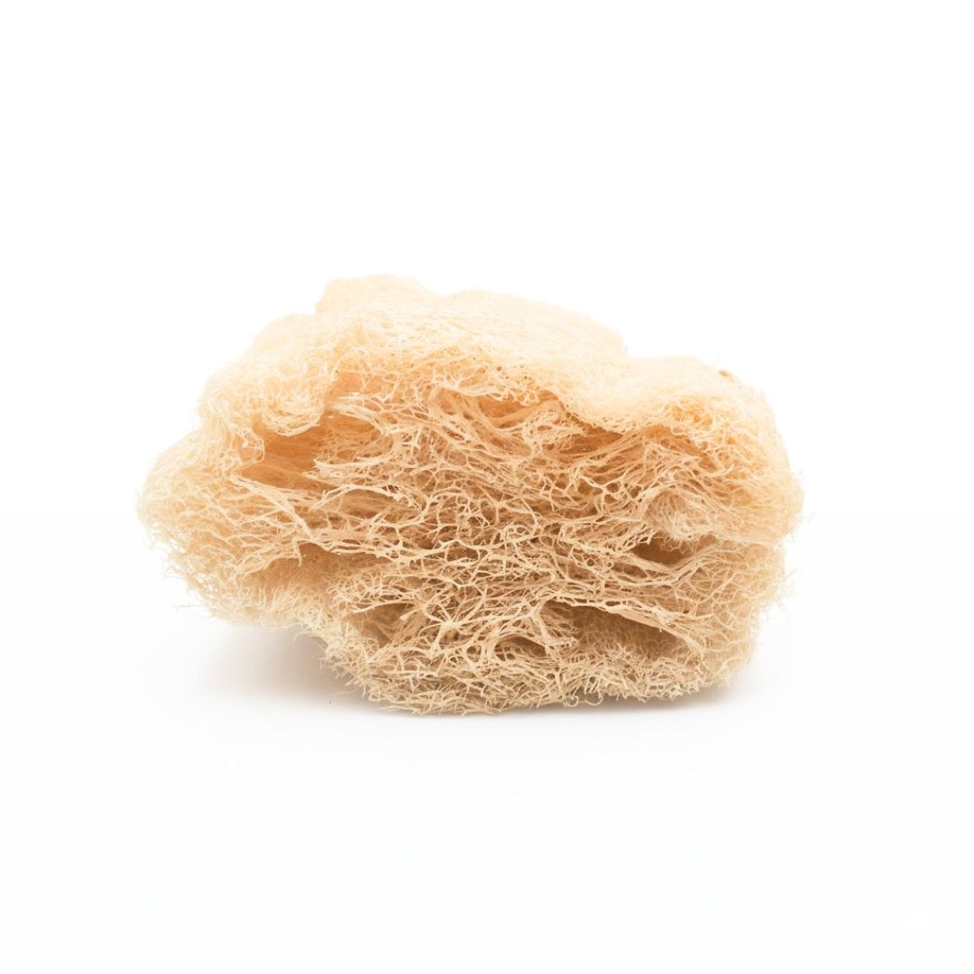 Loofah spons kopen? Natuurlijke spons voor je huid