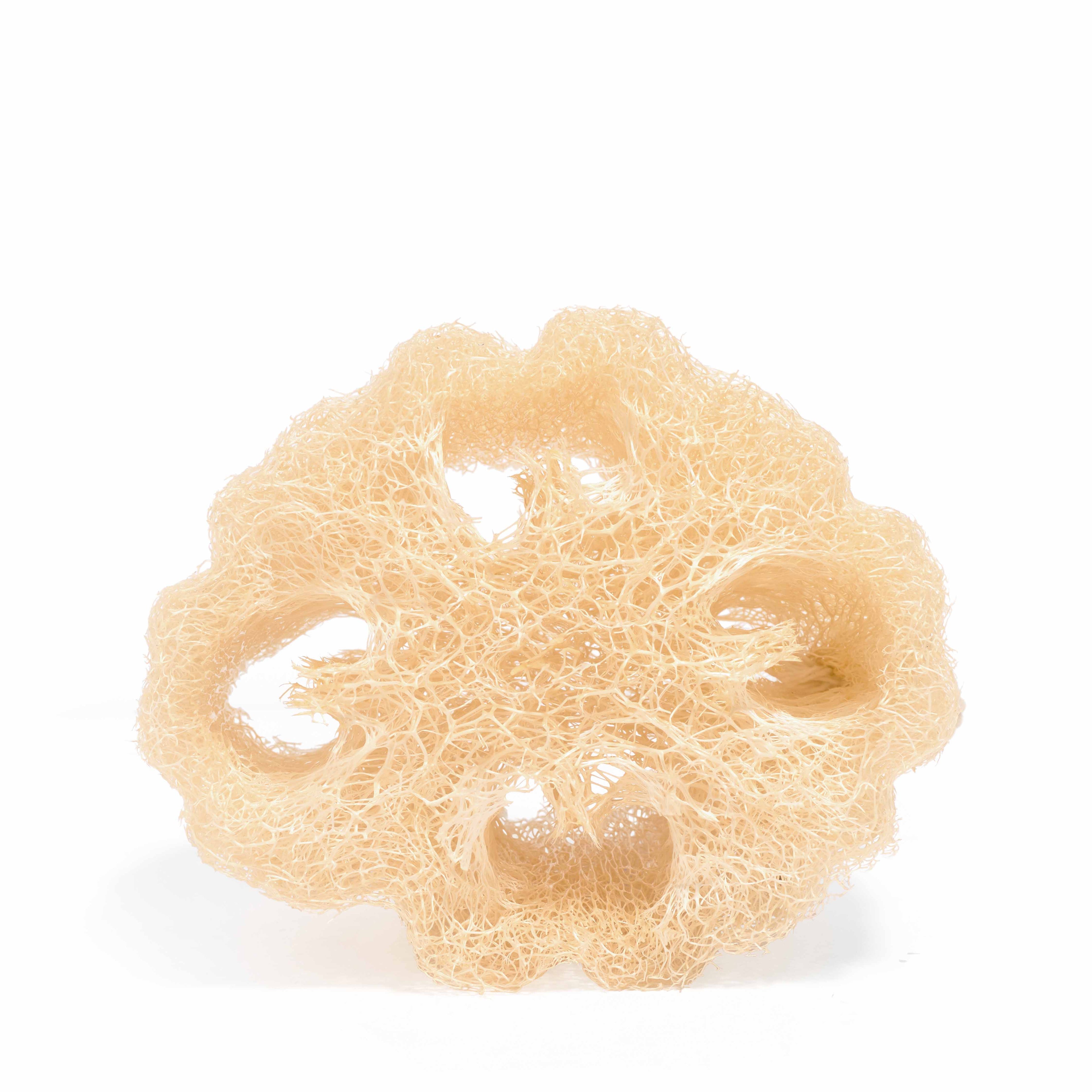 Veggie Sponge - 100% Natuurlijke Loofah