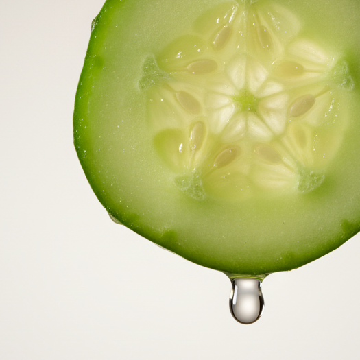 Komkommer schijfje met druppel olie