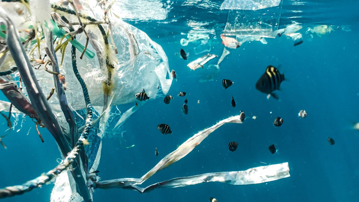 Plastic afval drijft in zeewater